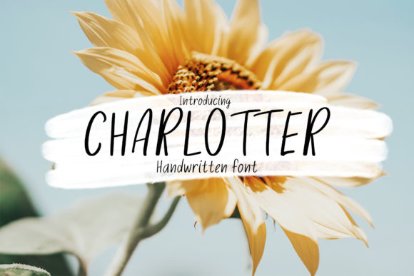 Charlotter: A Handwritten Font for Modern Web Design