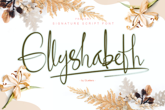 Ellyshabeth: The Elegant Script Font for Stunning Campaigns