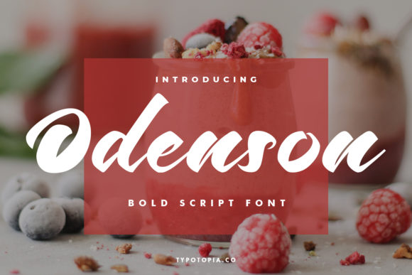 Enhance Your Brand with Odenson: A Charming Script Font
