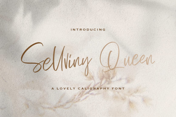 Enhance Your Brand with Sellviny Queen Font
