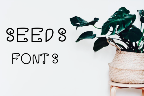 Seeds: A Script Font with Versatile Charm
